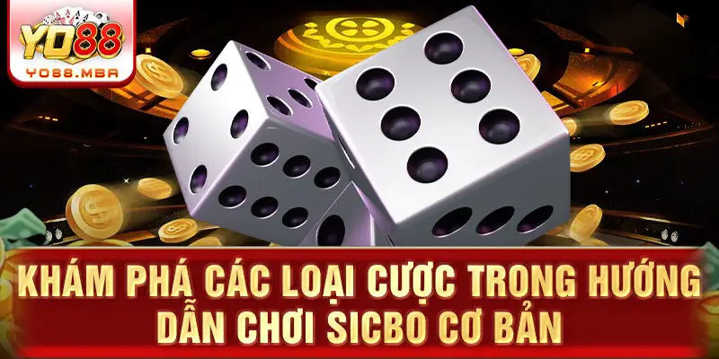 Khám phá các loại cược trong hướng dẫn chơi sicbo cơ bản