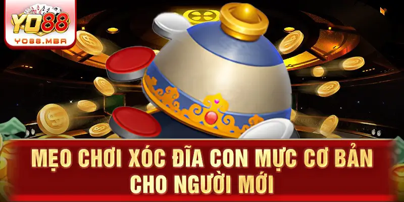 Mẹo chơi xóc đĩa con mực cơ bản cho người mới